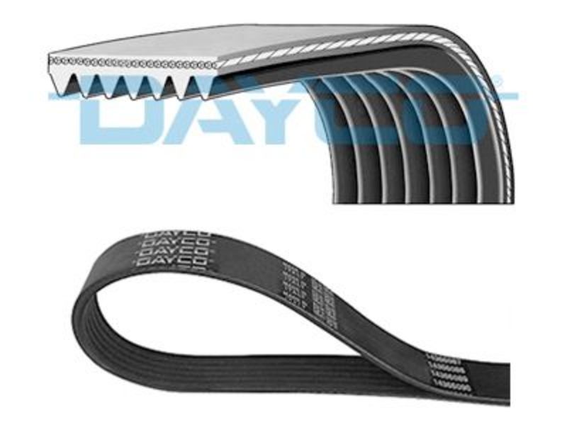 ALFA ROMEO 156 MULTI V BELT